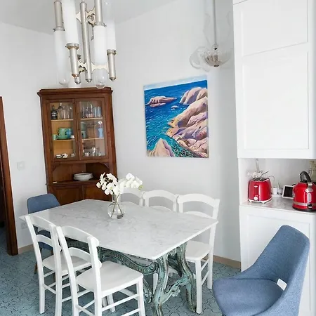 Modern Near Senigallias Velvet *